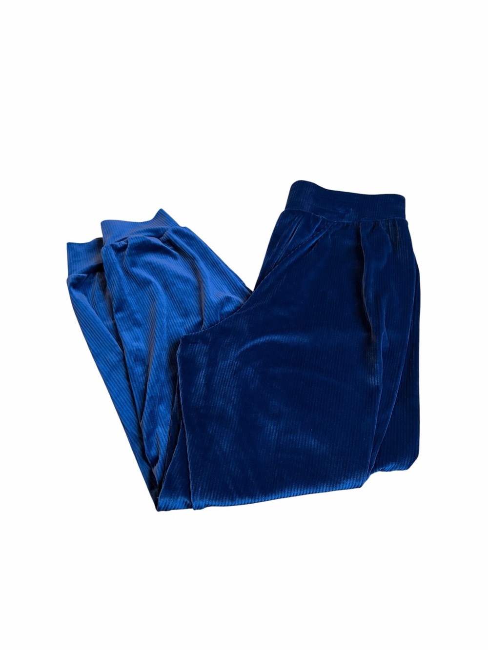 VS blue plush on point jogger pants